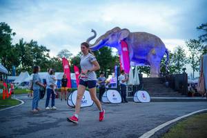 BIB: 
                            <button type="button" onclick="openModal(26551756)" class="btn btn-primary btn-sm float-right btn-popup" data-toggle="modal" data-target=".modal-high-quality">
                        <i class="fas fa-shopping-cart"></i> Add to Cart
                    </button>
                                            <button type="button" onclick="isThisMe(26551756, true)" class="btn btn-success btn-sm float-right btn-popup btn-isme hidden" data-toggle="tooltip" data-placement="bottom" title="นี่คือรูปของคุณใช่ไหม คลิกที่นี่เพื่อเอาเข้าอัลบั้ม">
                        <i class="fas fa-plus"></i> Add to album
                    </button>
                    <button type="button" onclick="isThisMe(26551756, false)" class="btn btn-warning btn-sm float-right btn-popup btn-isnotme hidden">
                        <i class="fas fa-ban"></i> Remove from album
                    </button>